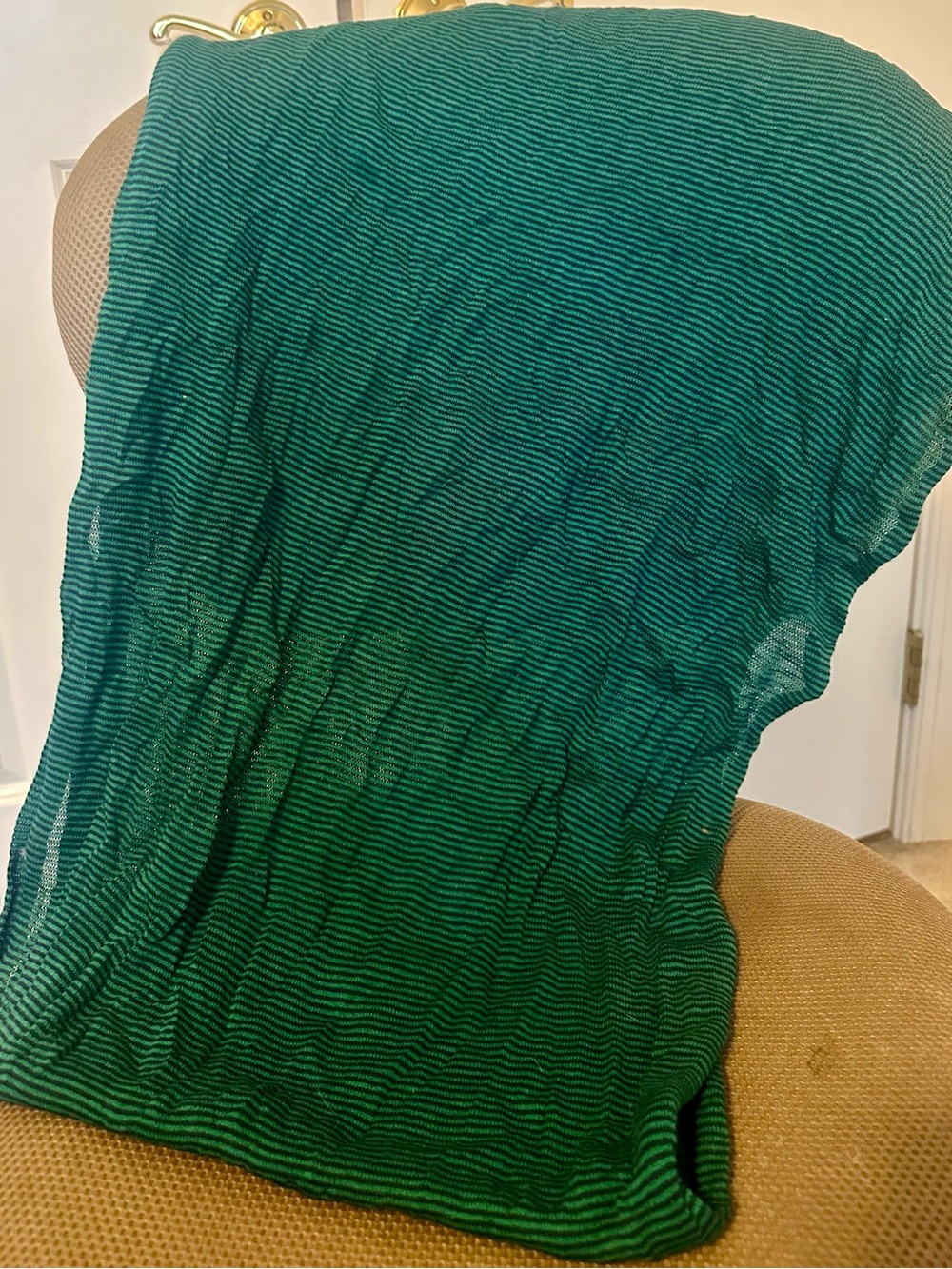 Lightweight Green Striped Infinity Scarf Wrap - Versatile Women's Accessory
